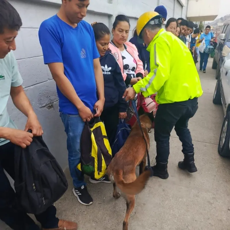 Seguridad privada