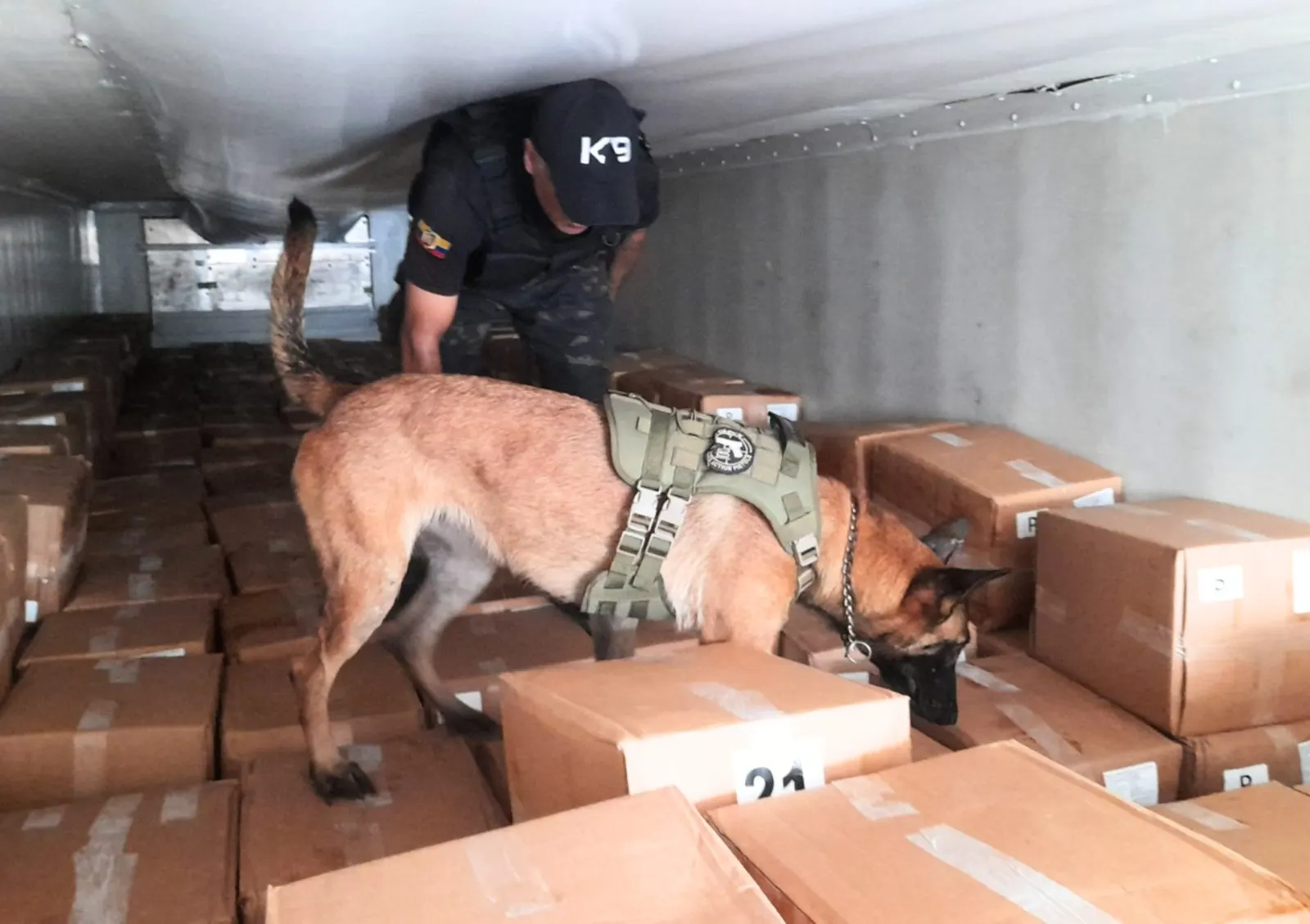 Inspección K9 de contenedores