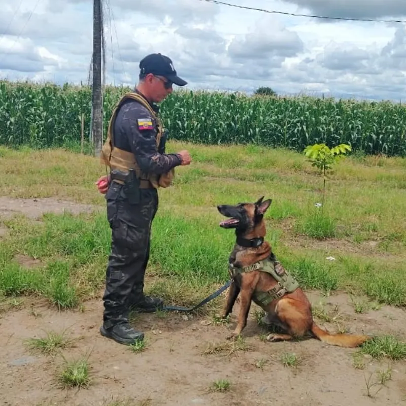 Fincas, haciendas y camaroneras