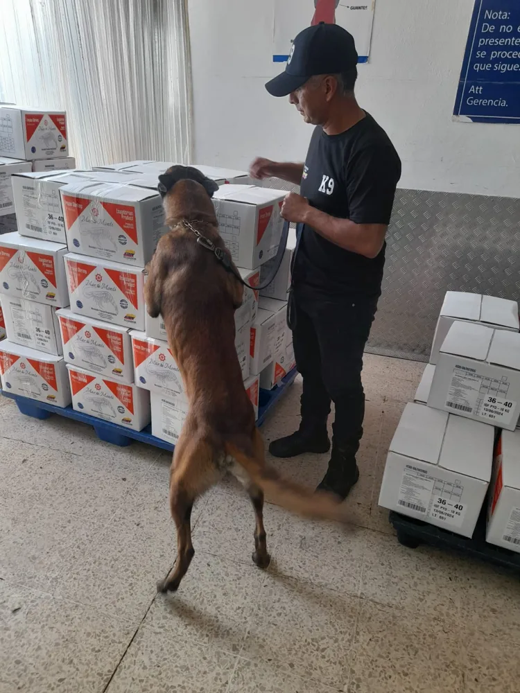 Perro K9 revisando cajas de exportación en pallets dentro de una bodega de carga